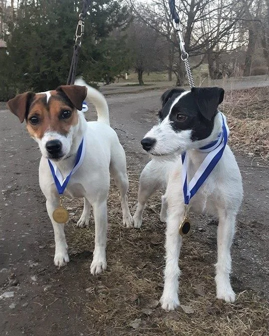 KVA-L KVA-M Tammenkolon Irma & KVA-L Tammenkolon Greta