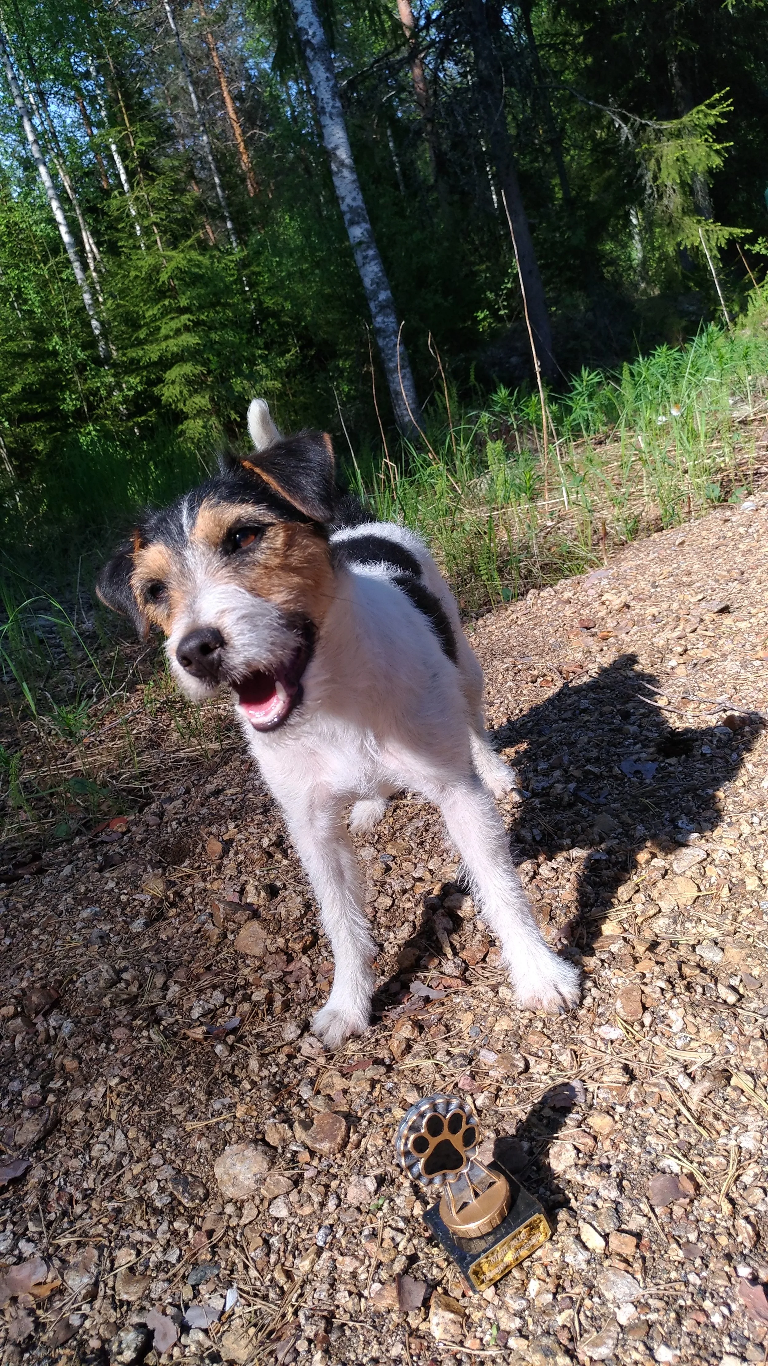 Tammenkolon Qarma is a Bitch