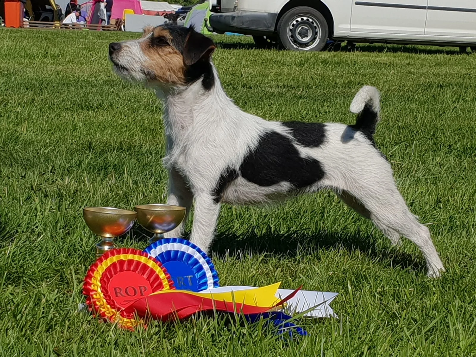 Tammenkolon Qarma is a Bitch