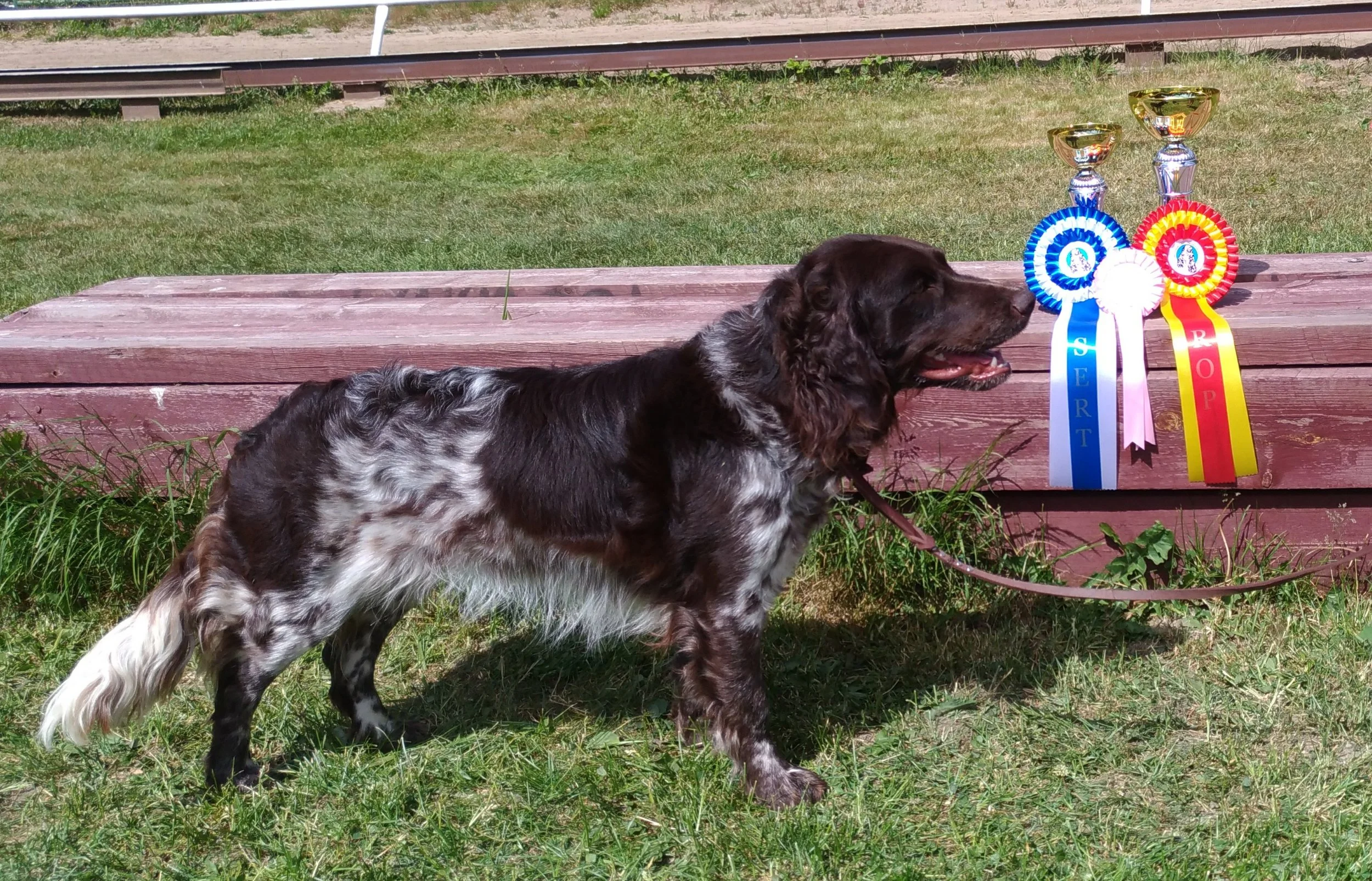 Heidrun vom Ebersburger Holz