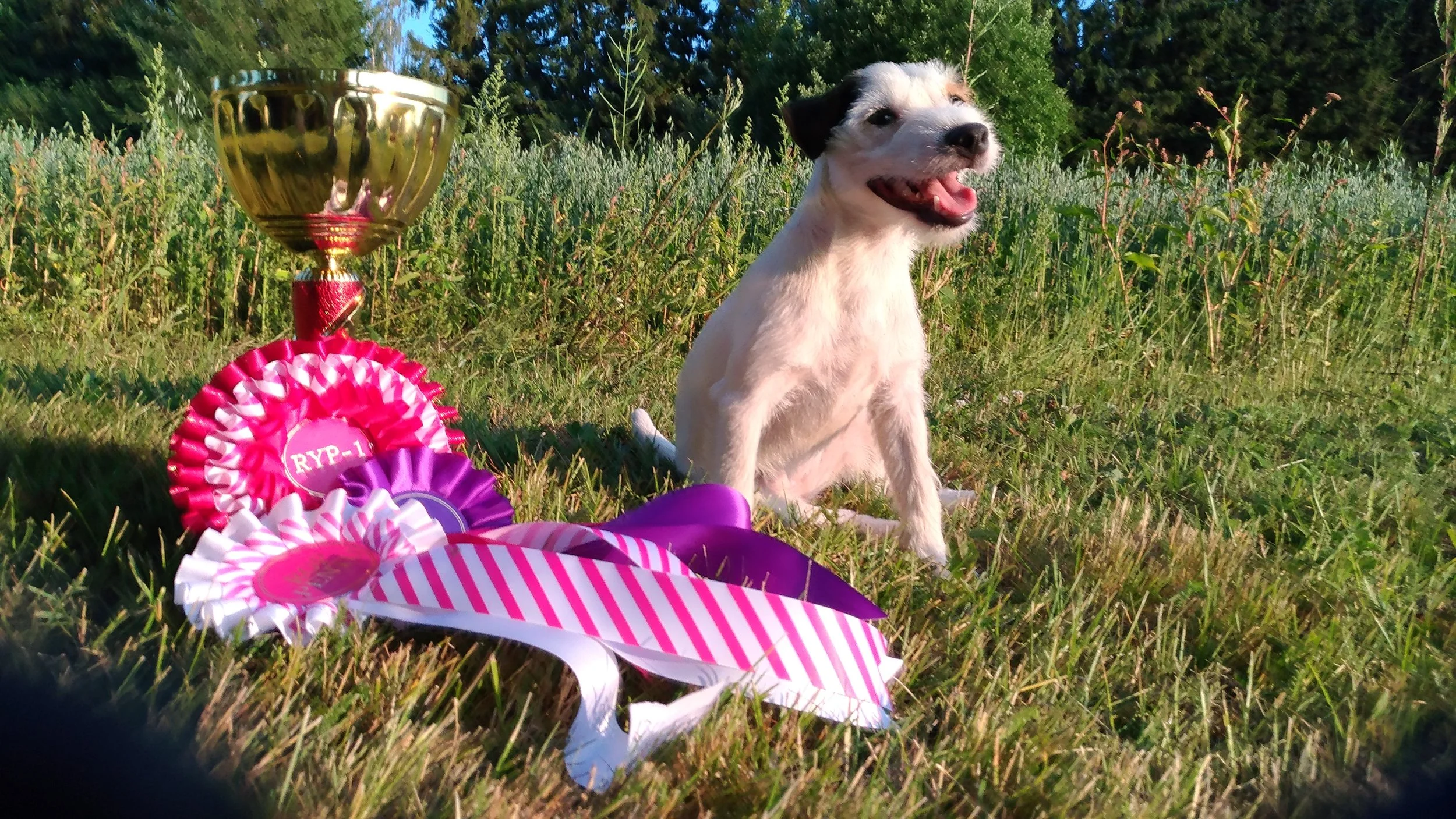 Tammenkolon Unit “My”