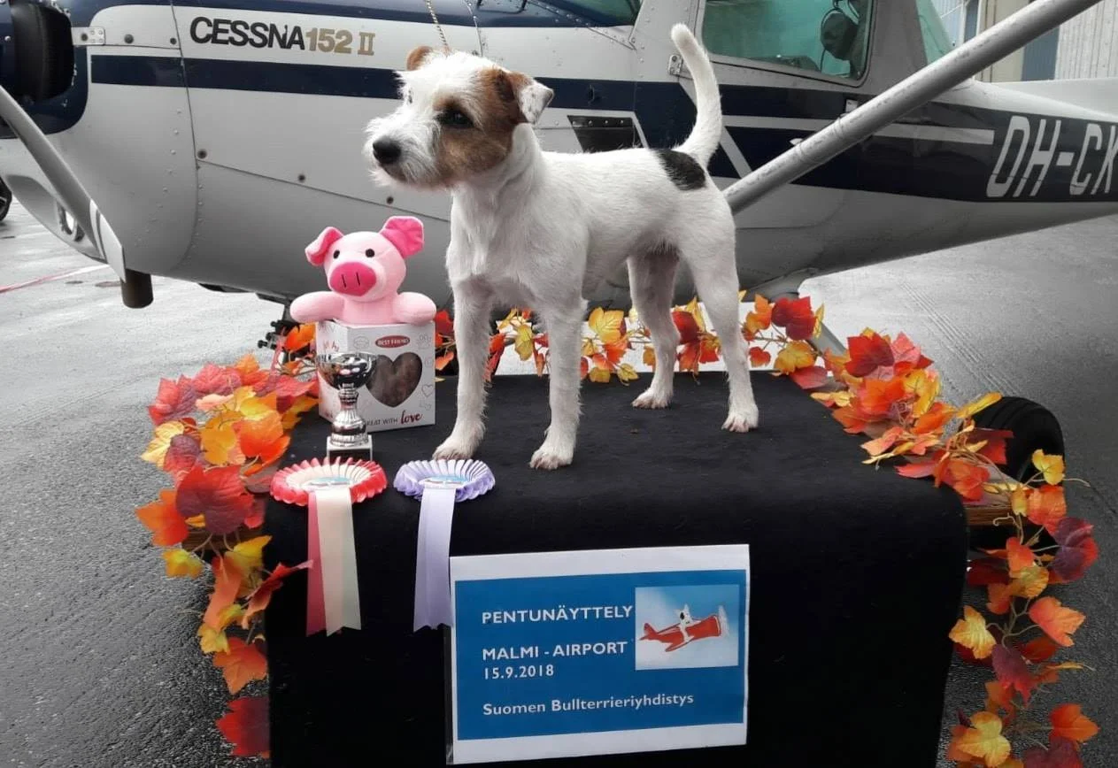 Tammenkolon Unicorn “My”