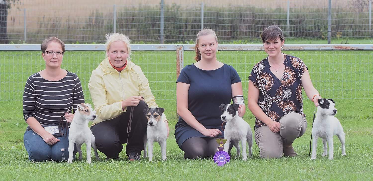 Tammenkolon Kasvattaja luokka: Tammenkolon Royal Diamond “Rauha” (ERI JUN2) KVA-L Tammenkolon Qarma is a Bitch “Karma” (ERI JUN1 SA PN2 SERT) KVA-L Tammenkolon Greta “Kerttu” (ERI KÄY1) FI EE MVA KVA-M KVA-L Tammenkolon Eukko ERI VAL1 SA PN1 ROP.