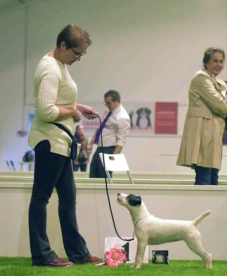 FI MVA KVA-M KVA-L Tammenkolon Gunilla “Miina”