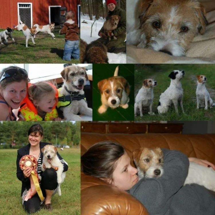 R.I.P FI MVA KVA-M Carremumba’s Billabong “Ada” 15.9.2006-31.8.2018