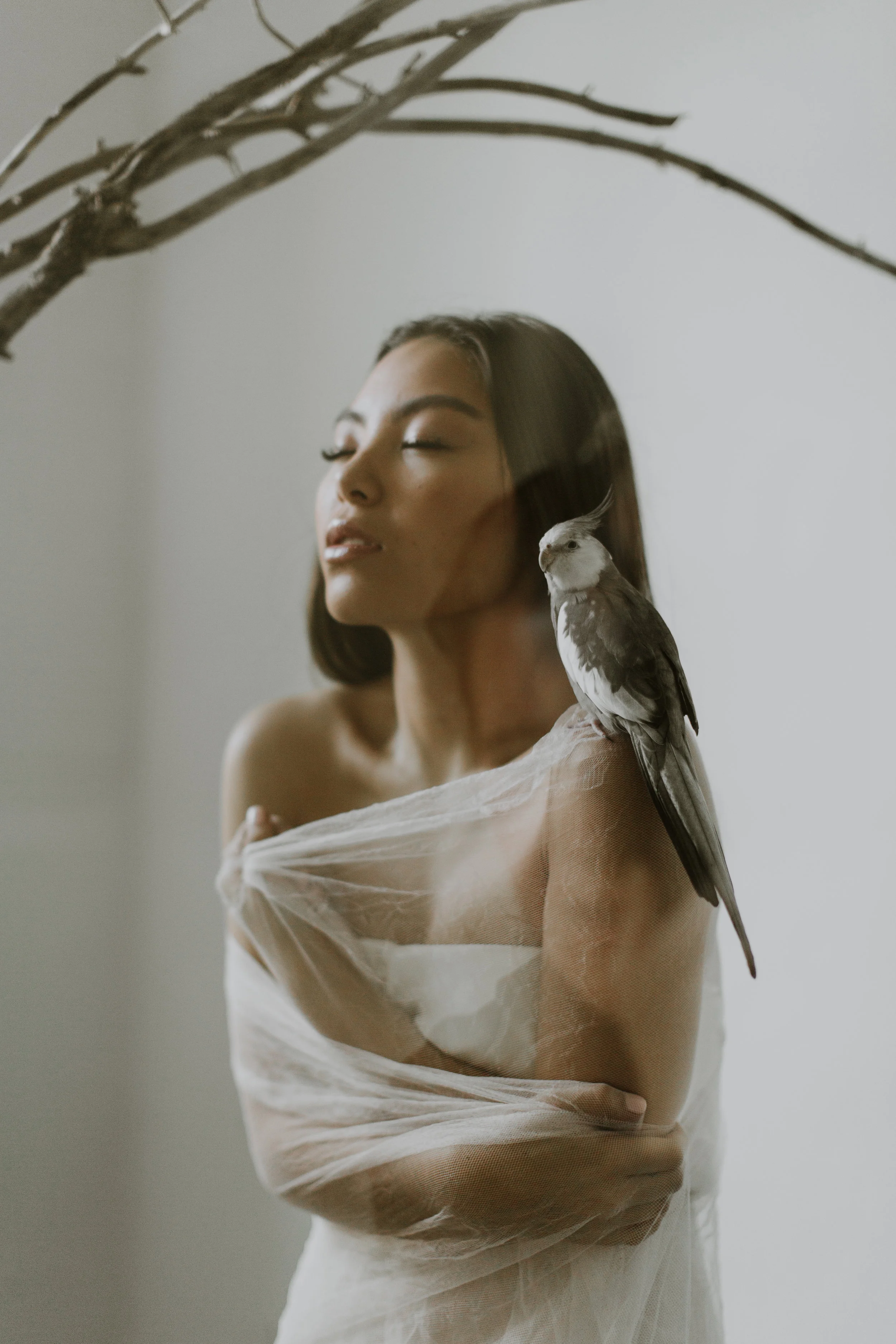 BirdEditorial_2018_LRP-61.jpg