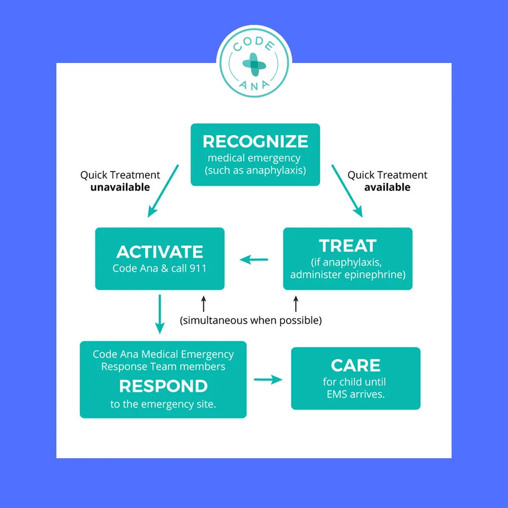 Food Allergy Preparedness at School: Code Ana Has a Plan