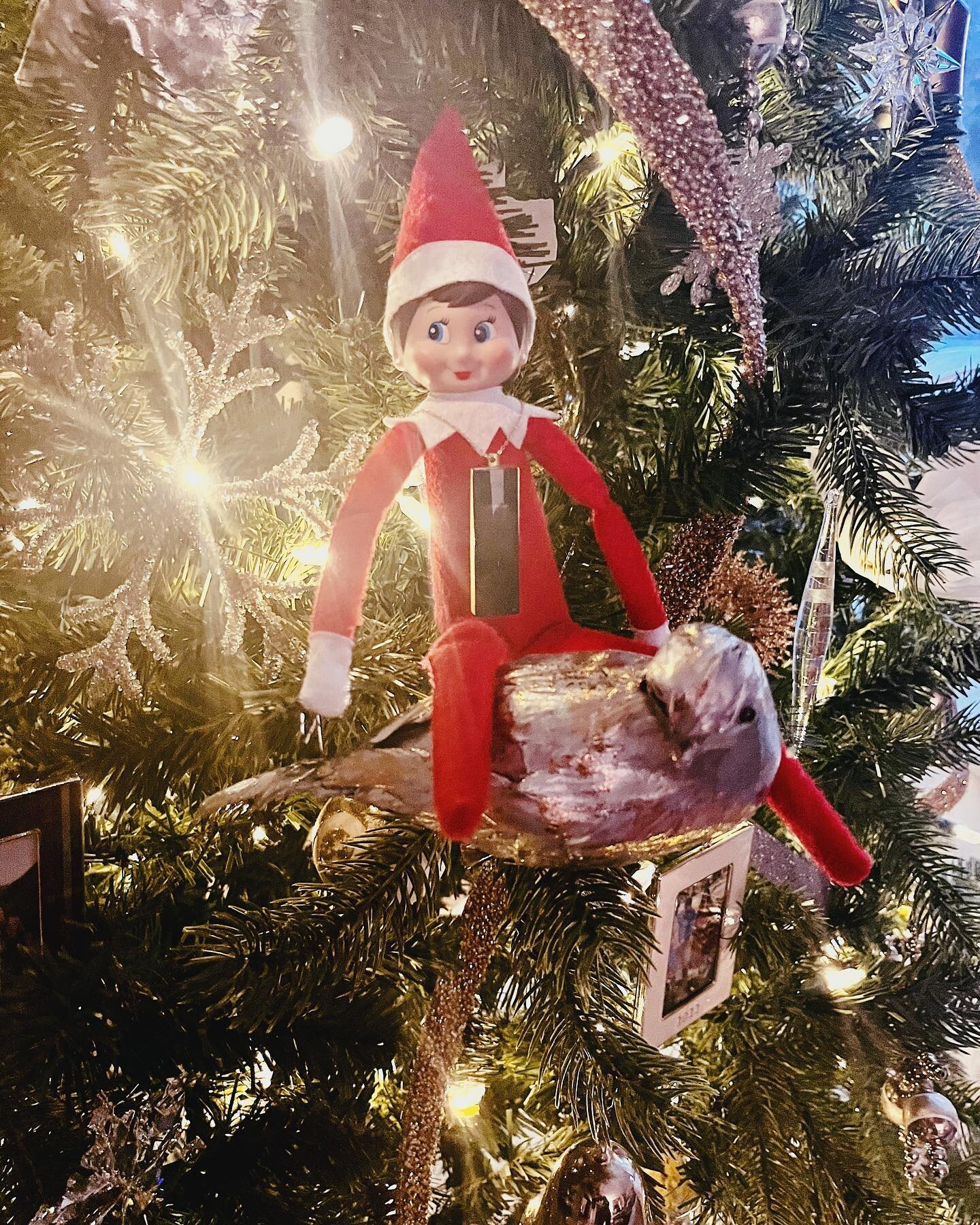 Have your elf a merry little Christmas! 🎄😉