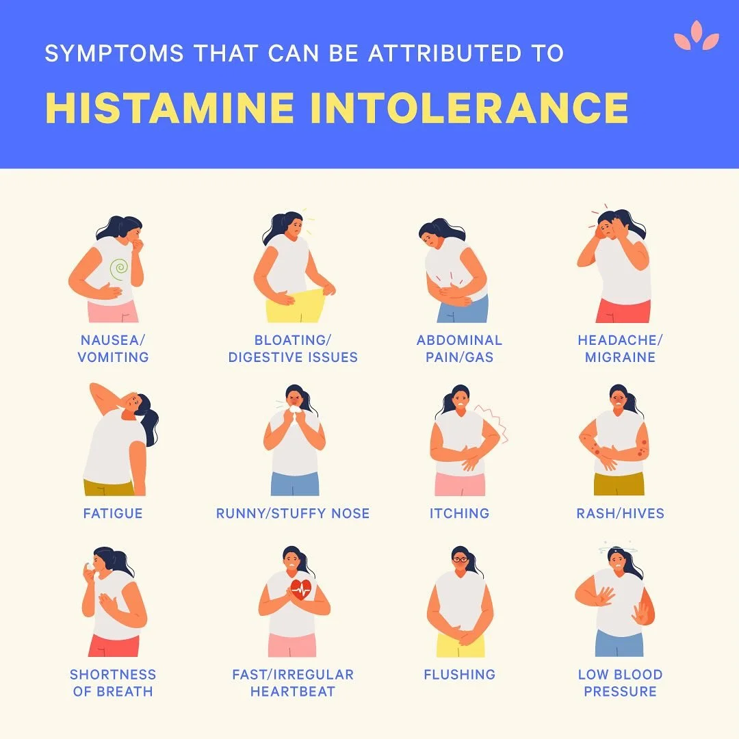 What does it MEAN to have an intolerance to HISTAMINE? We&rsquo;re digging into this lesser-discussed in our newest blog (link in bio!) 💙