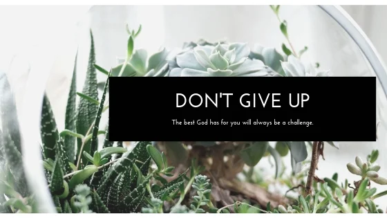 Blog Dont Give Up.jpg