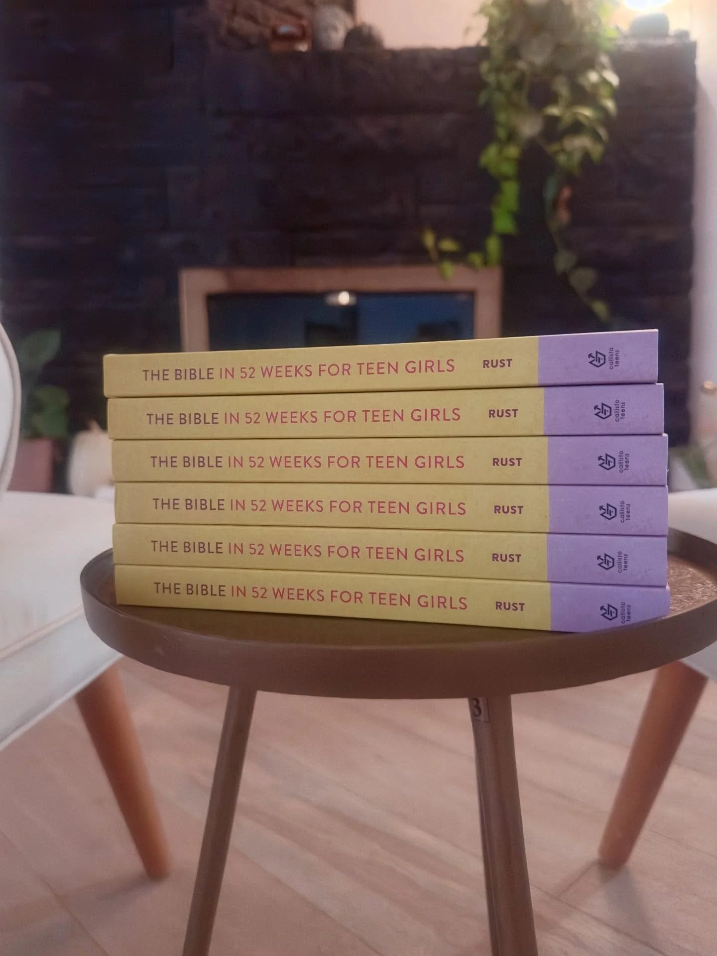 She&rsquo;s growing up in a noisy world&mdash;help her build her life on God&rsquo;s Word.

The Bible in 52 Weeks for Teen Girls is a year-long journey through Scripture, designed to help young women understand theology, grow in faith, and walk with 