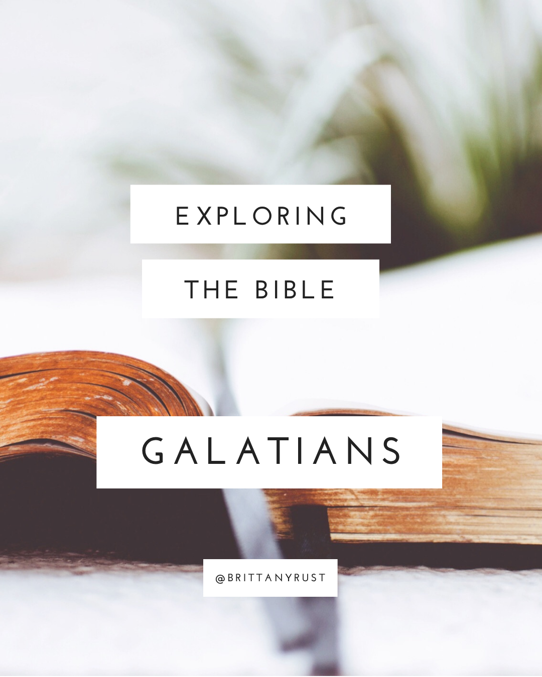 Exploring the Bible // Galatians