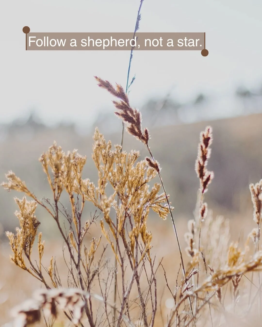 Guard your heart, some might say. Because who you let in has an impact.

It&rsquo;s easy to find someone with an opinion or a take&mdash;the internet, social media, AI&mdash;but not everyone is called to carry the assignment and weight of a Bible tea