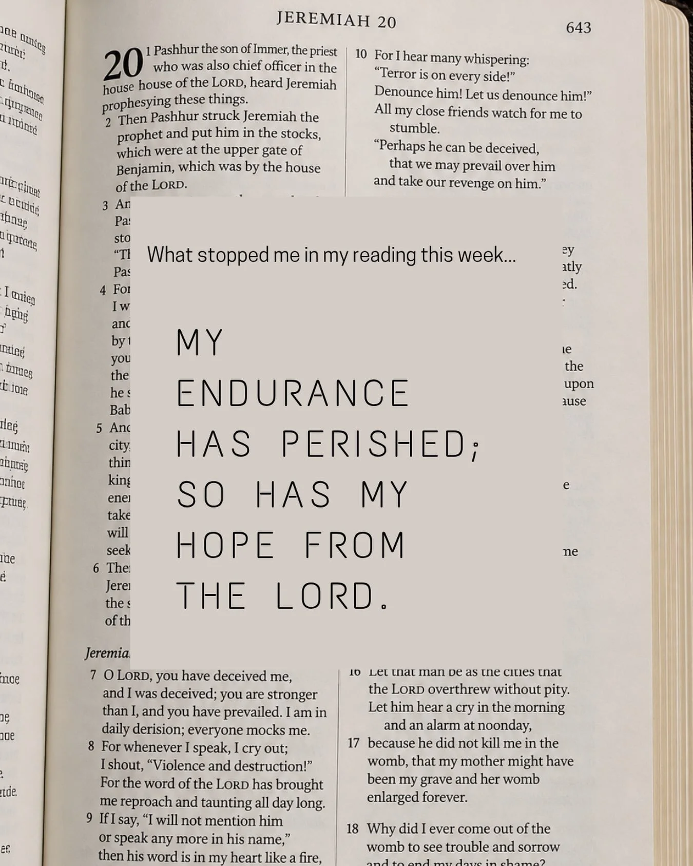 The author of Lamentations declares in chapter 3, verse 18 that his hope has perished. I mean, the whole book is a lament. He says he has forgotten what happiness is, has no peace, and has often thinks of his affliction.

Which is why it&rsquo;s incr