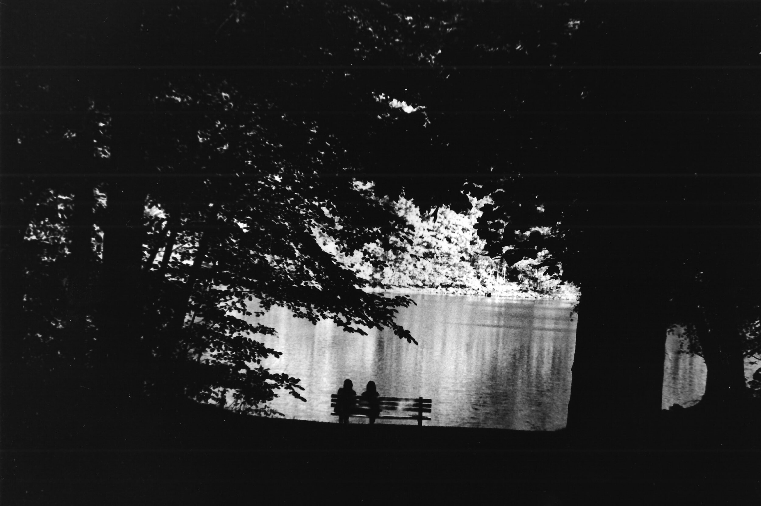 film_bench.jpeg