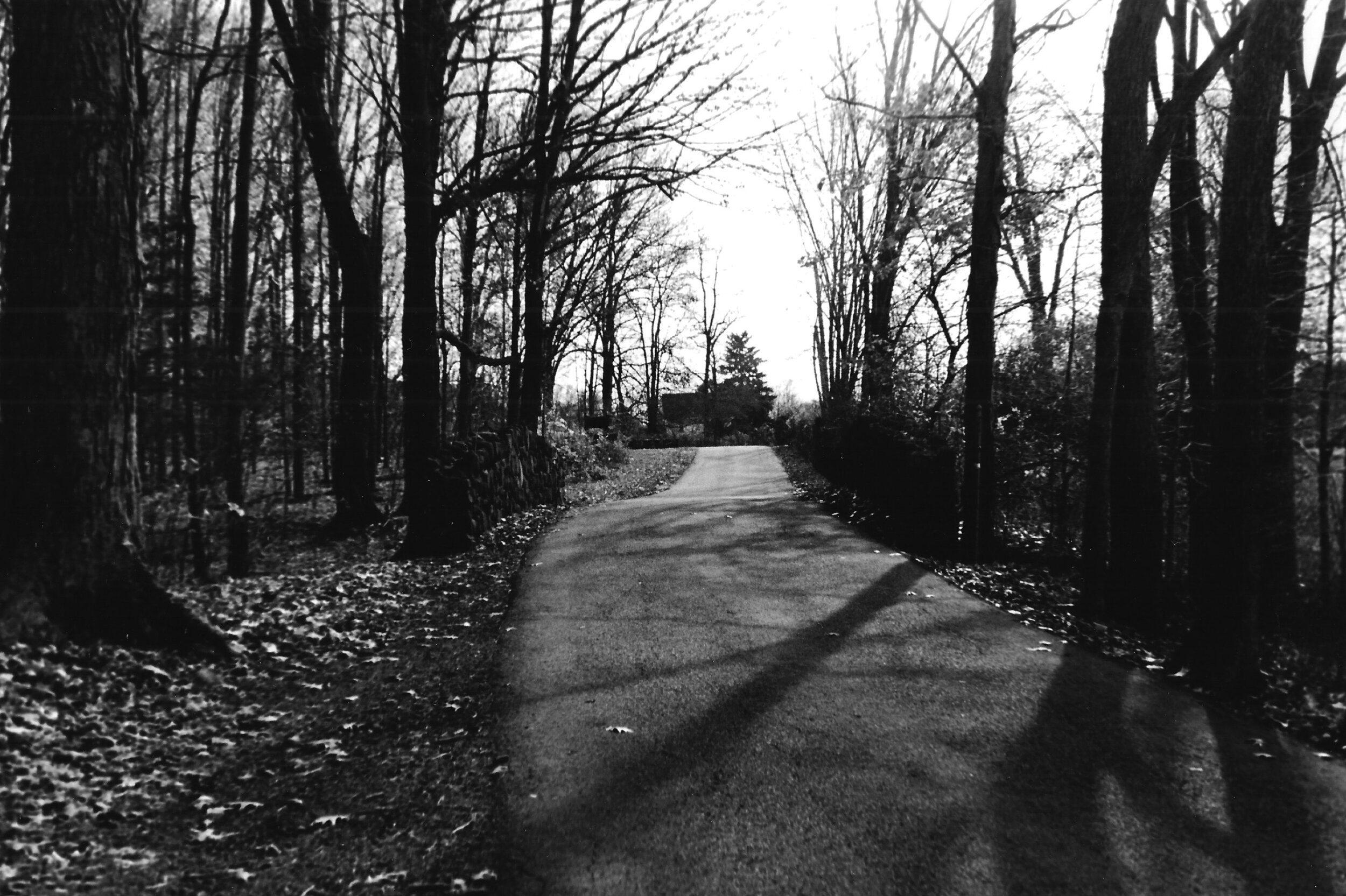 film_driveway.jpeg