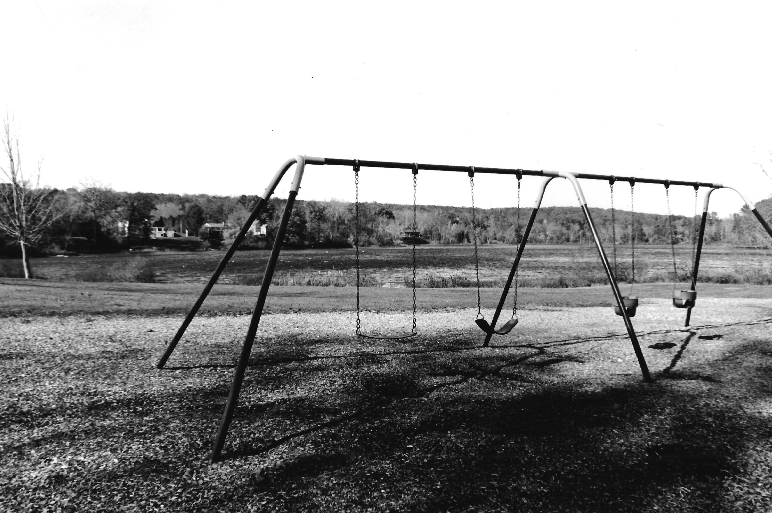 film_swings.jpeg
