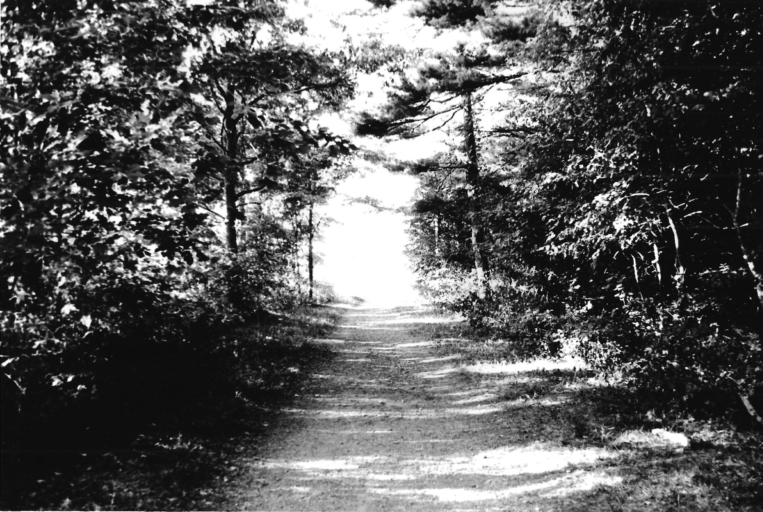 film_walkway.jpeg