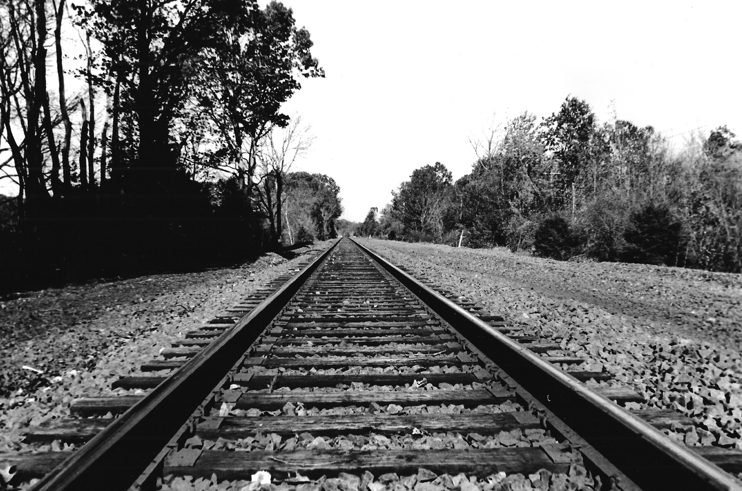 photo_tracks.jpeg