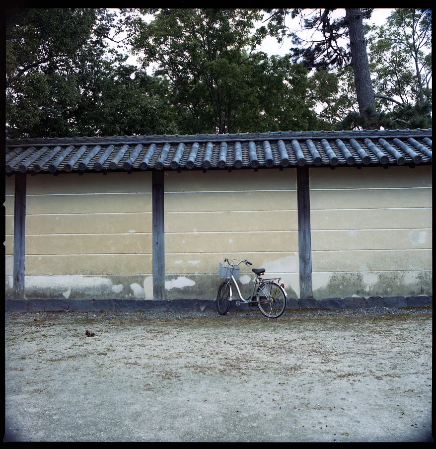 Nara002.jpg