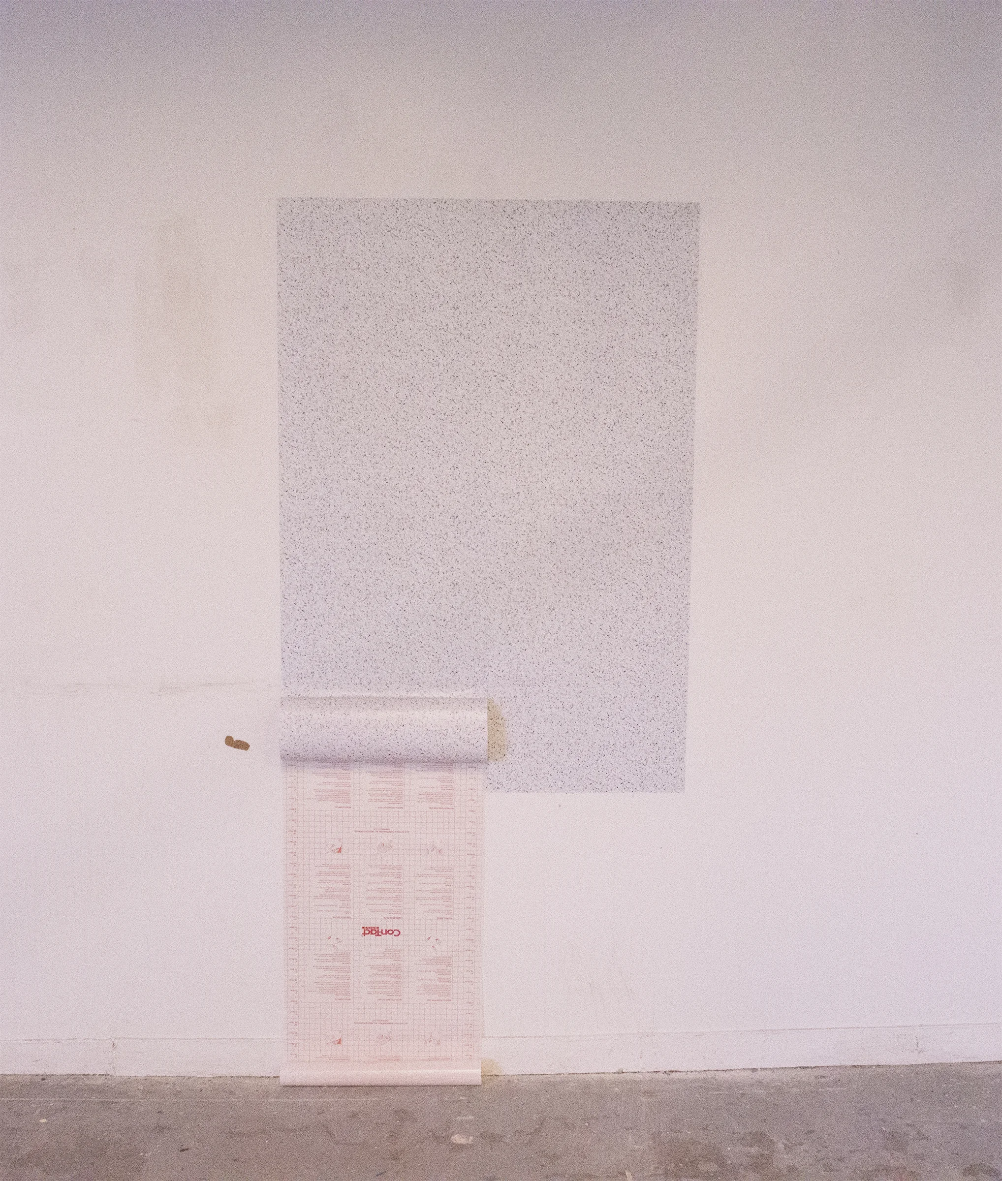 wall1.jpg