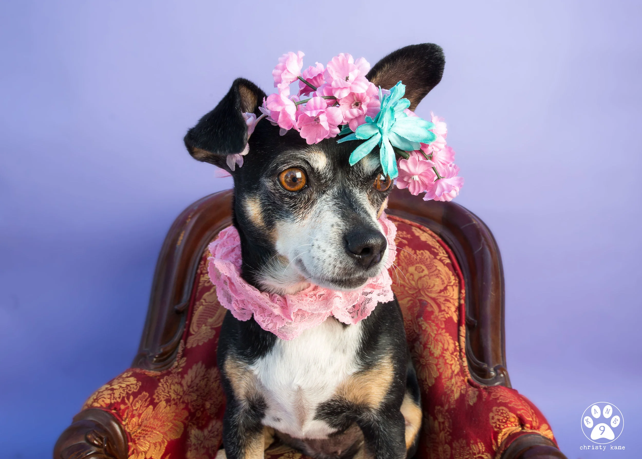 Audrey_PupupEvent-11-Edit-3.jpg