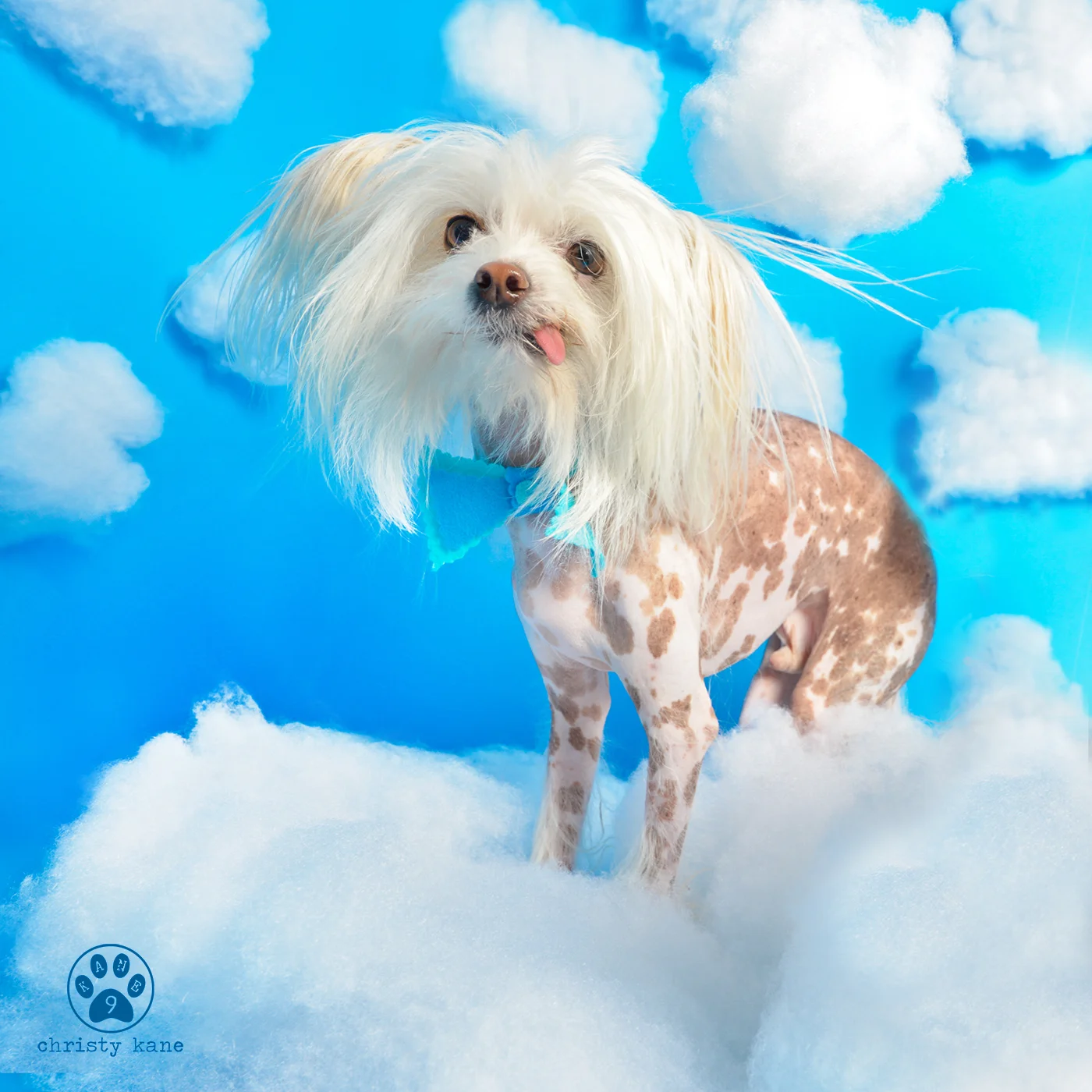 Januarybluecloud9-bub.jpg