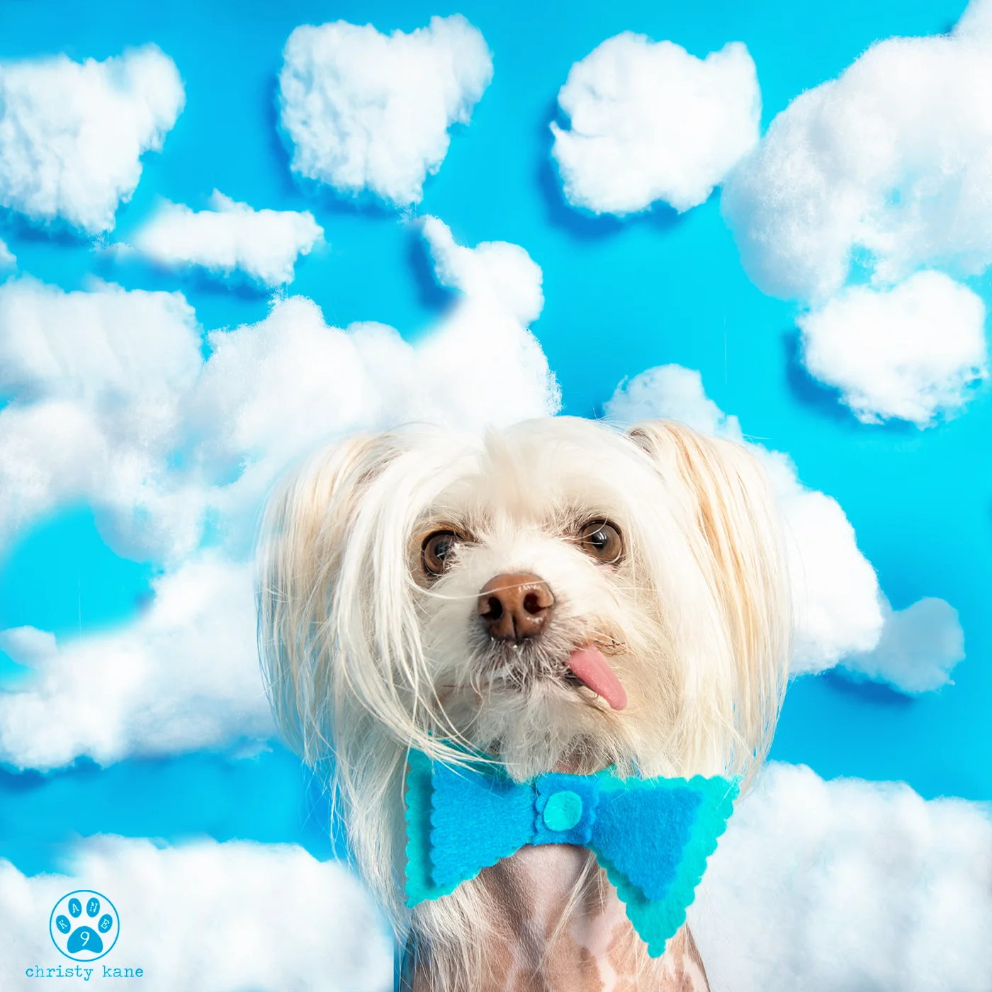 Januarybluecloud9-6.jpg