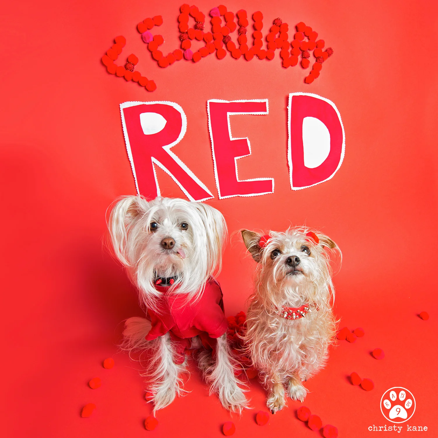 Feb1RED-6a.jpg