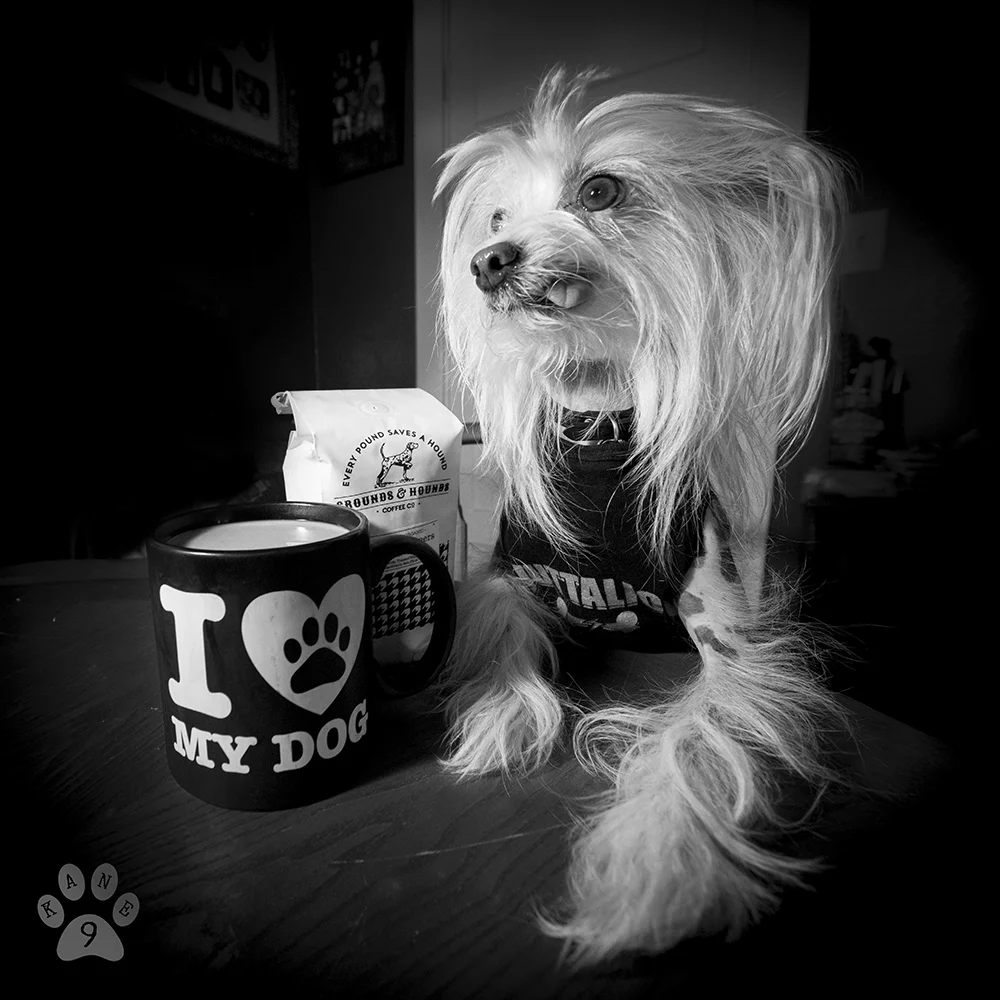 Grounds and Houndth Coffee