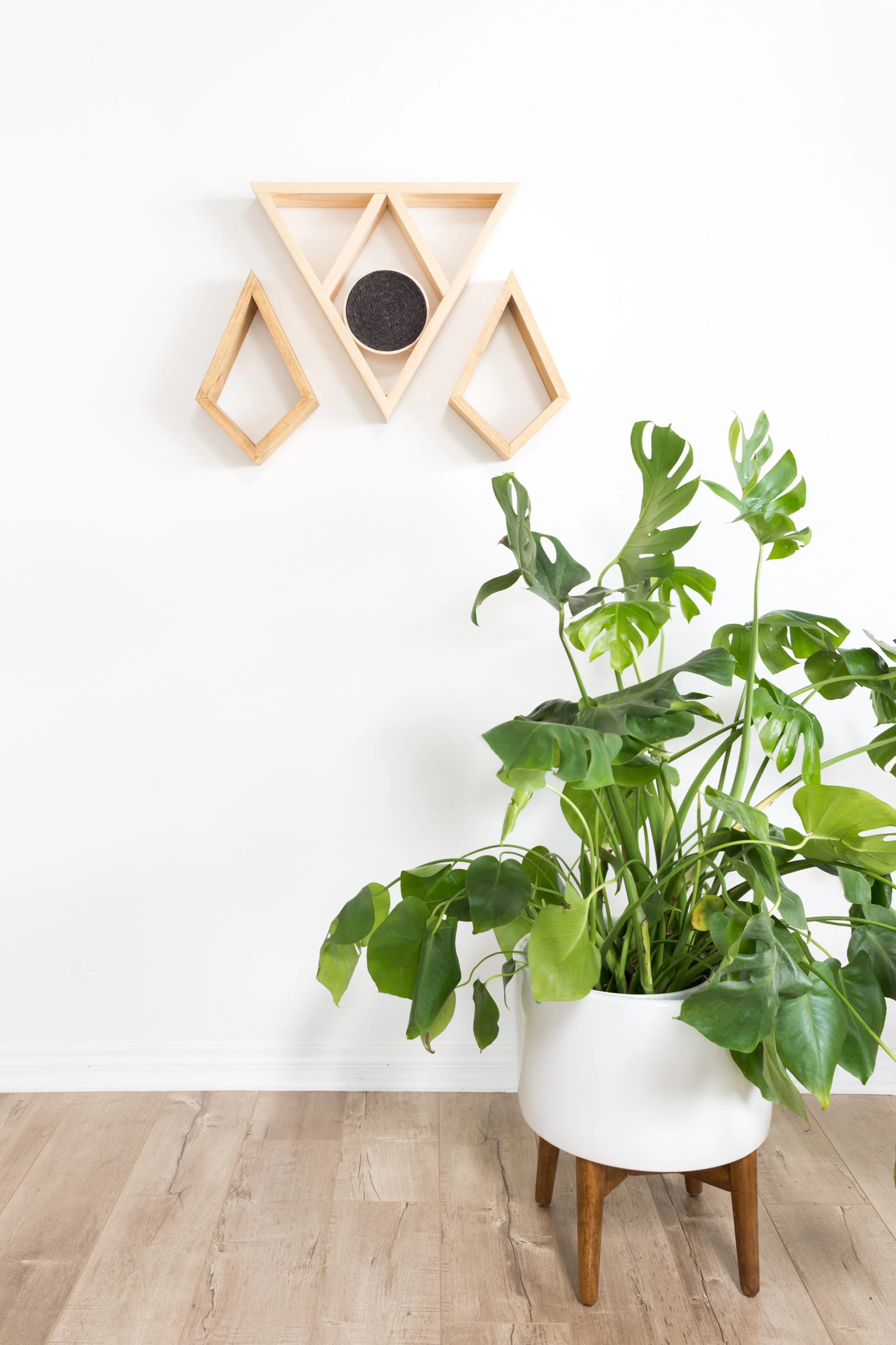 wkndlatssw_planter02.jpg