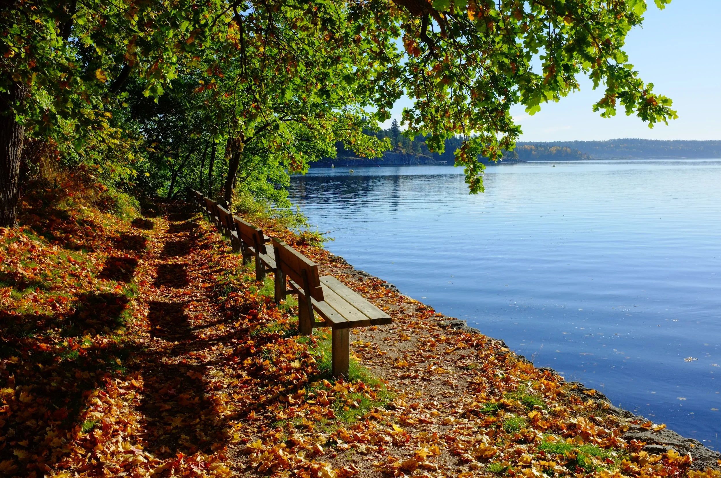 8 of the Most Scenic Areas of Minnesota