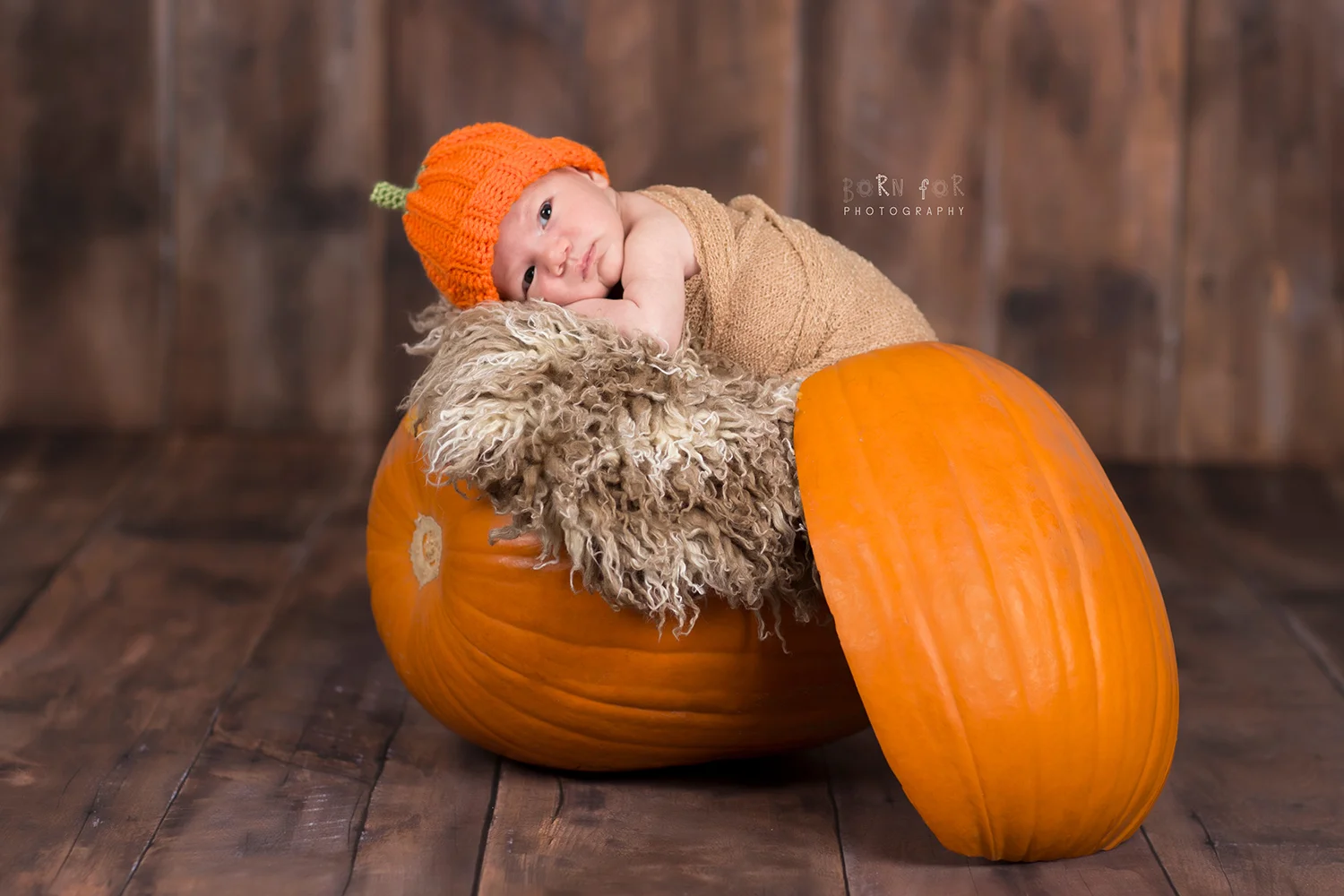 IMG_3742_E.jpg