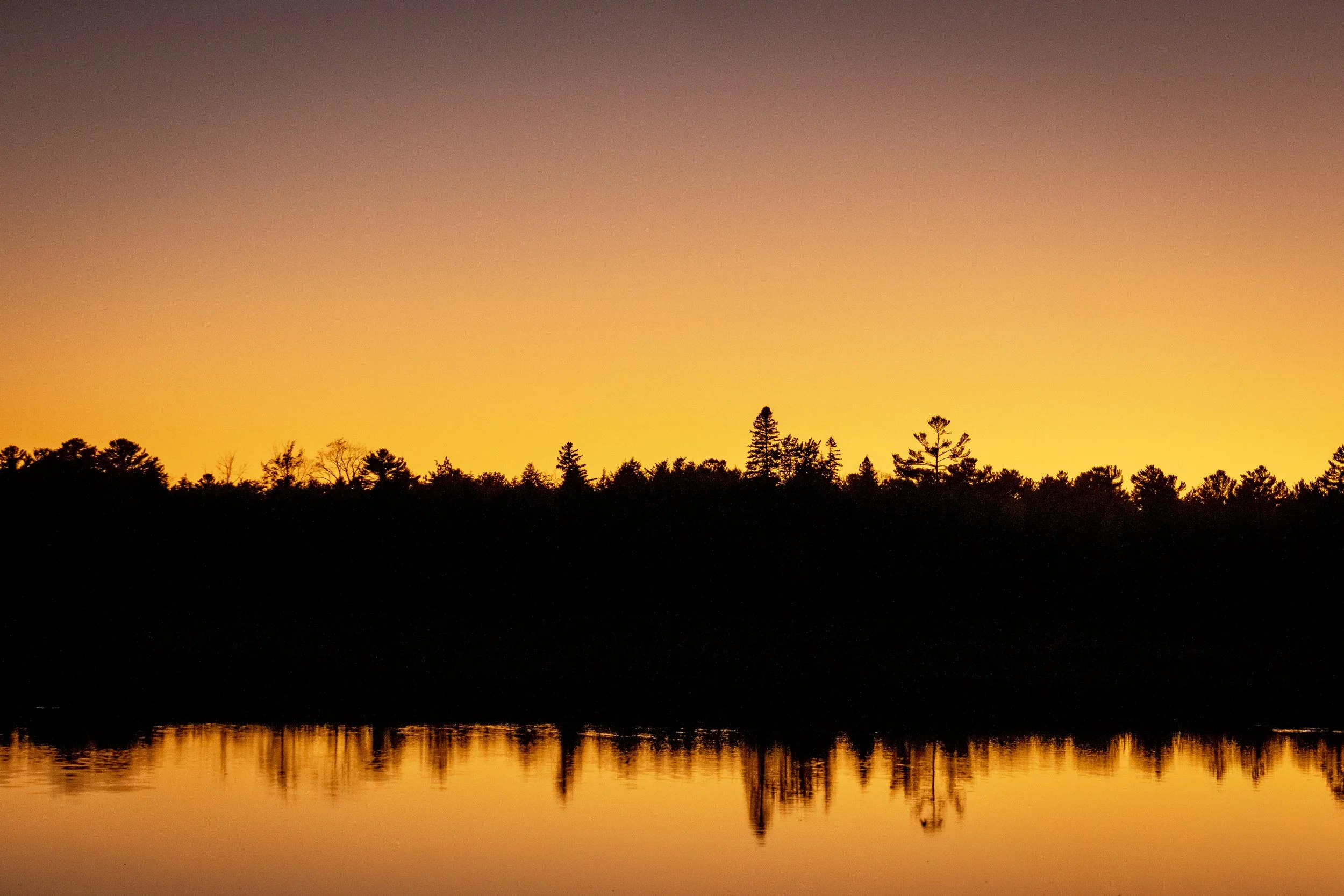 Golden Reflection