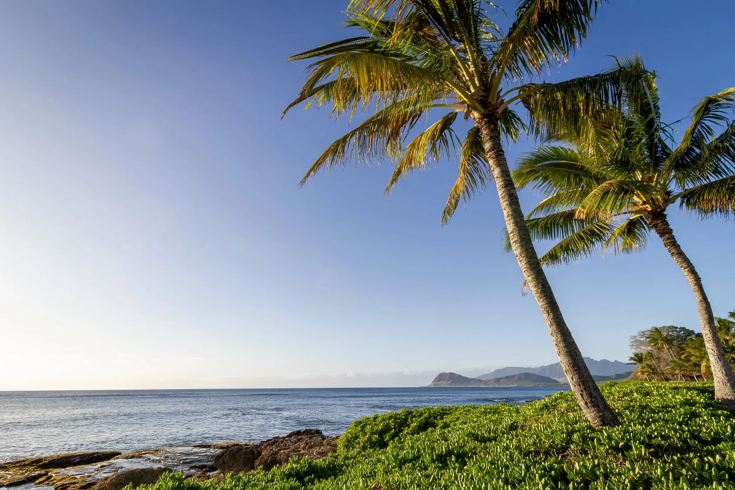 Paradise Cove Shoreline