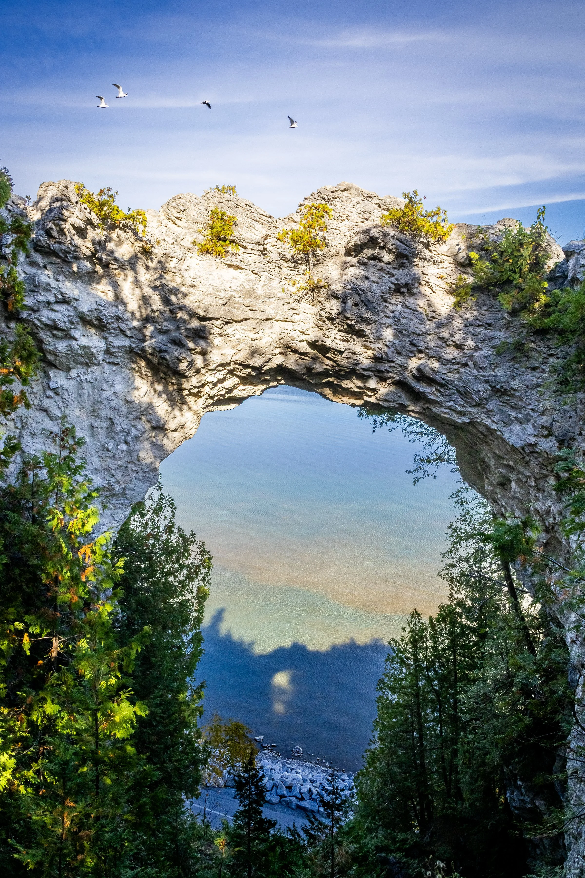 ArchRockV_8x12.jpg