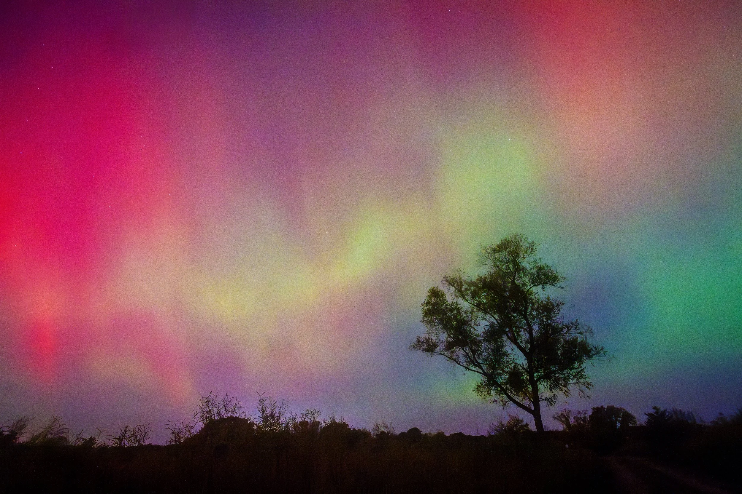AuroraBorelais2_8x12.jpg