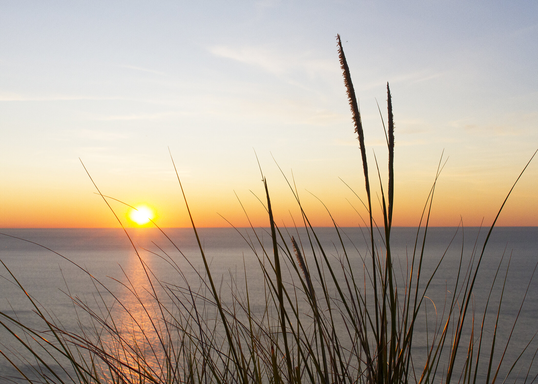 SunsetDuneGrass_5x7.jpg