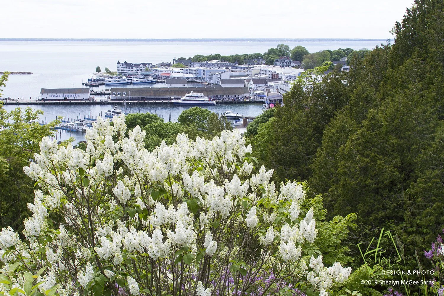 MackinacIslandLilacs_WEB.jpg