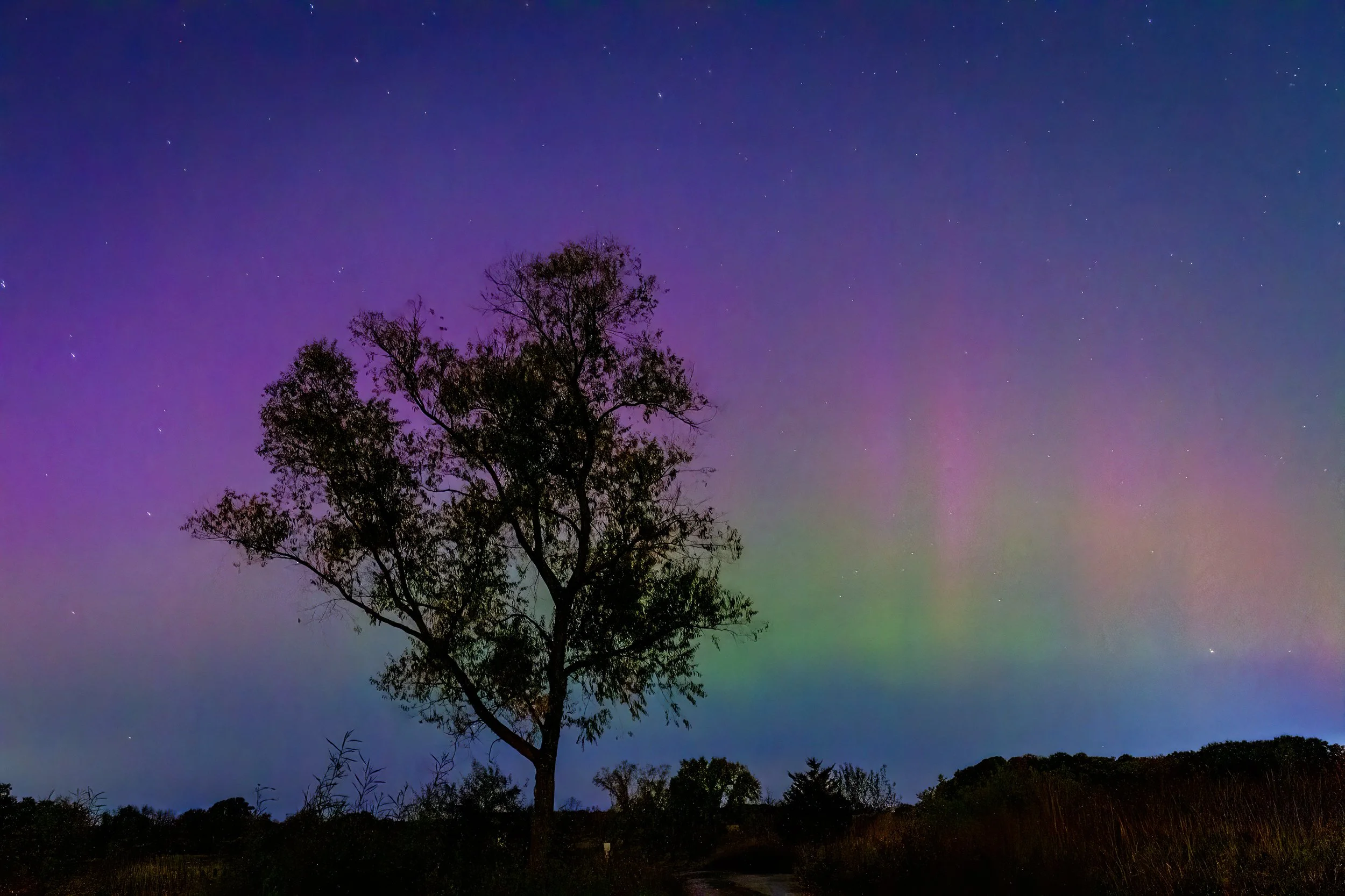 OctoberLights_8x12.jpg