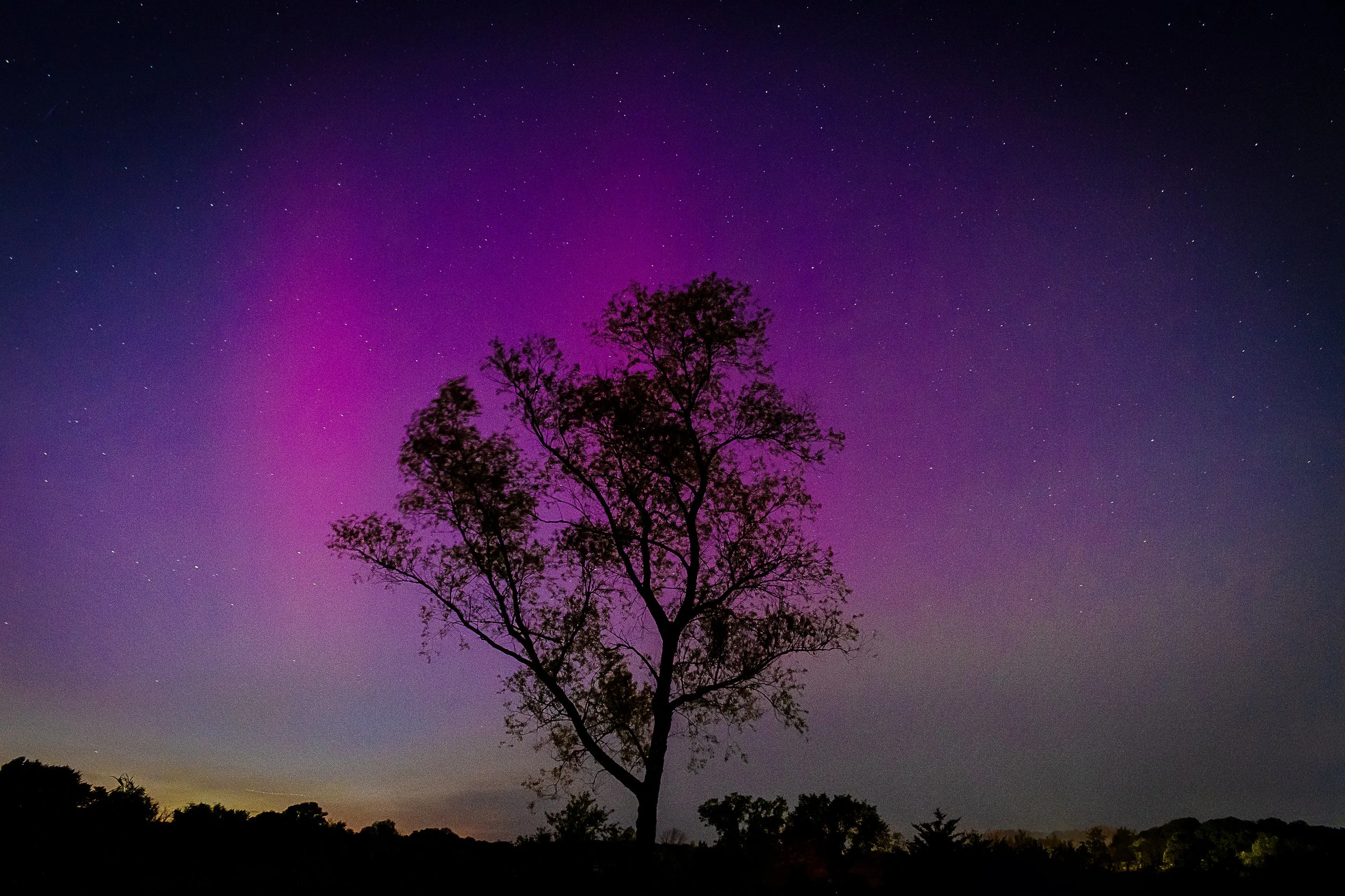 NothernLightsEastmanville_8x12.jpg