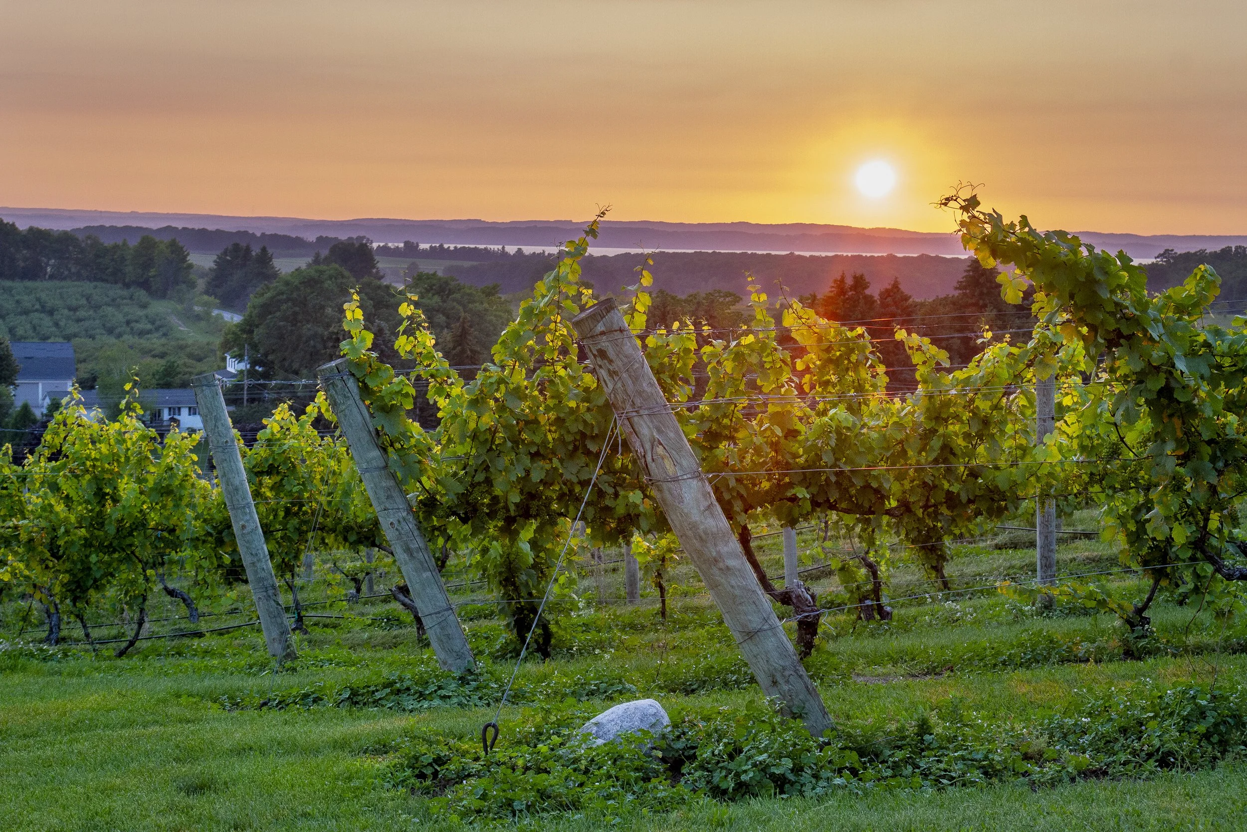 Chateau Chantal Sunset