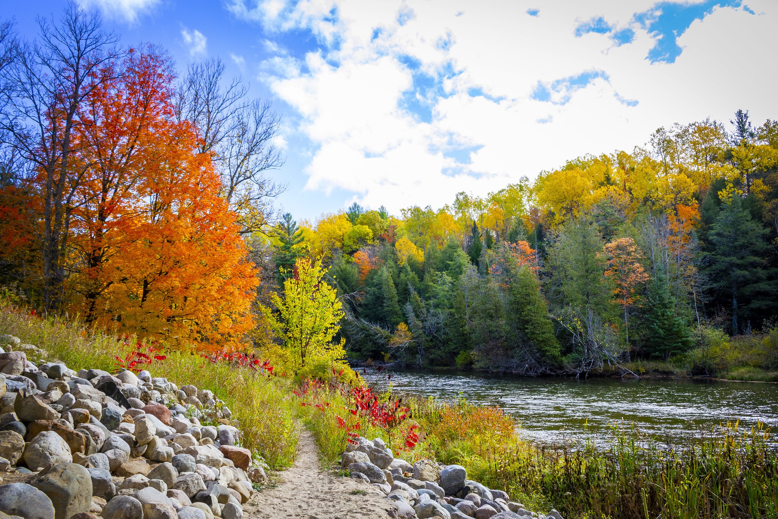 Manistee River in Fall