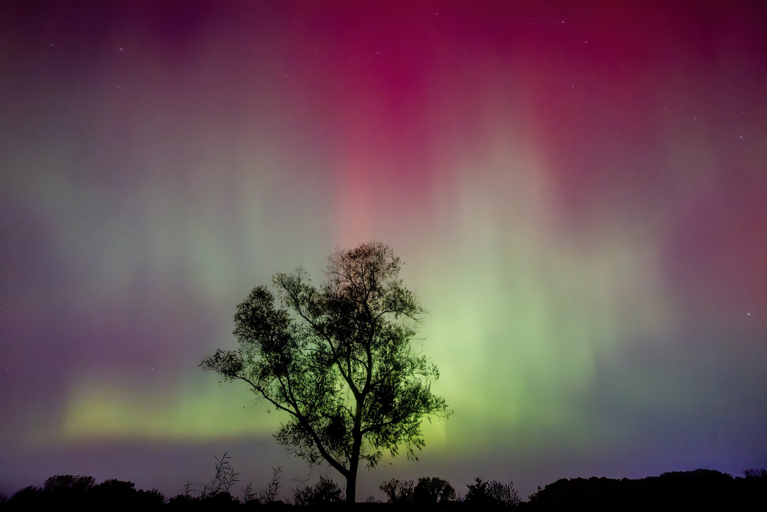 AuroraBorelais_8x12.jpg