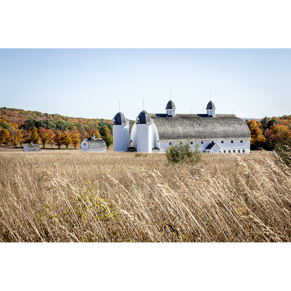 D.H. Day Barn in Fall