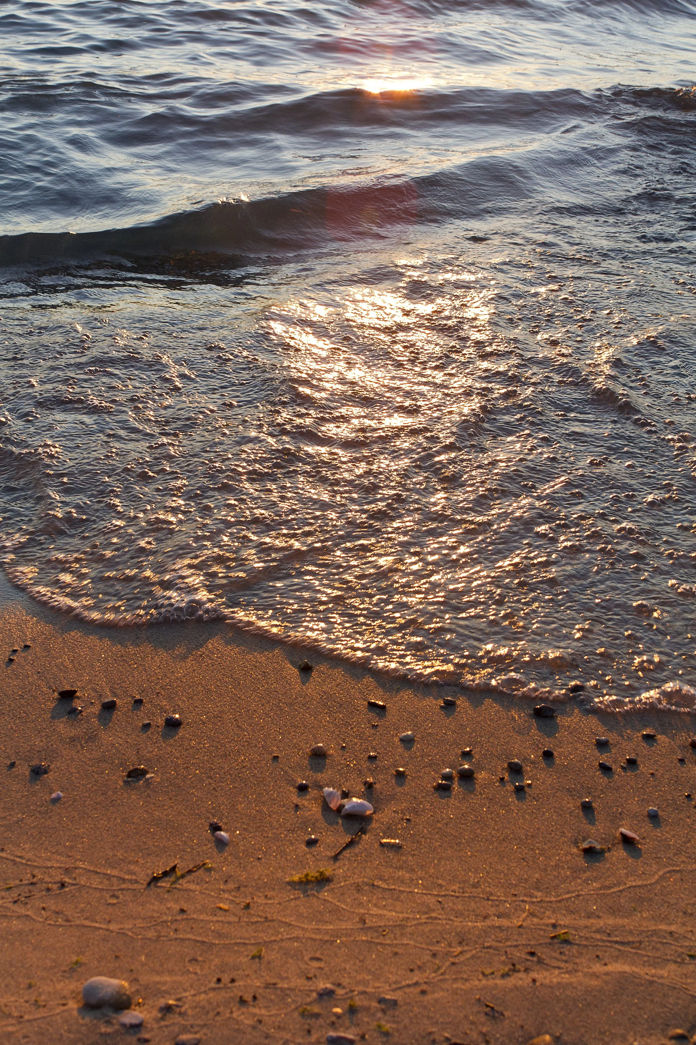 SunsetWave_8x12.jpg