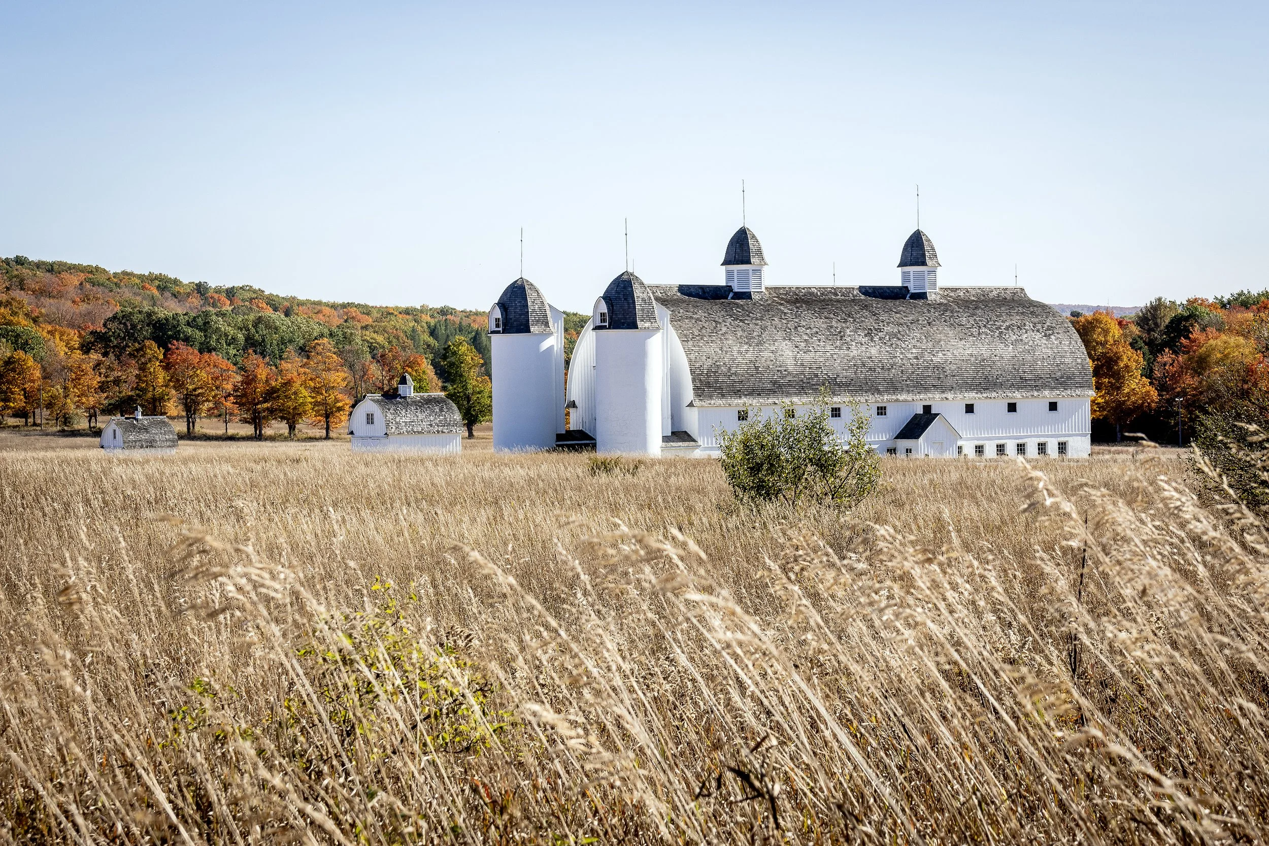 D.H. Day Barn in Fall
