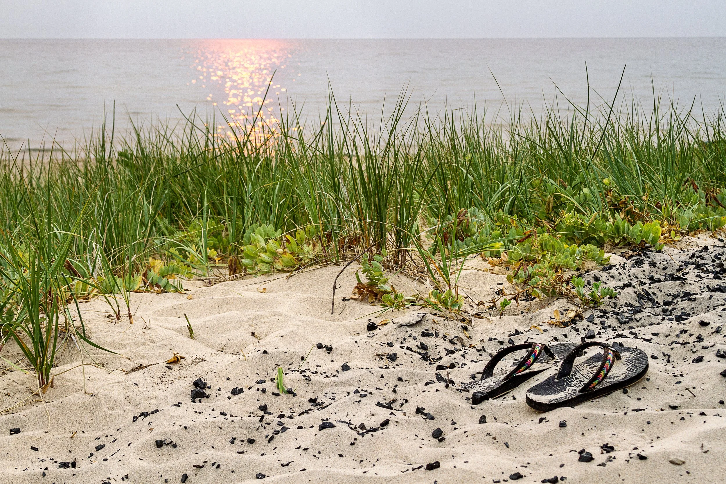 Flip Flops & Dune Grass