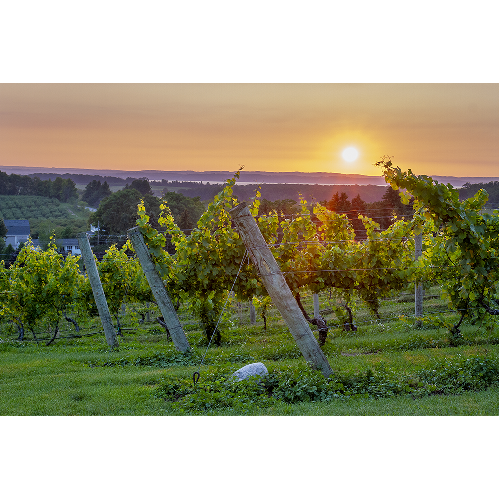 Chateau Chantal Sunset