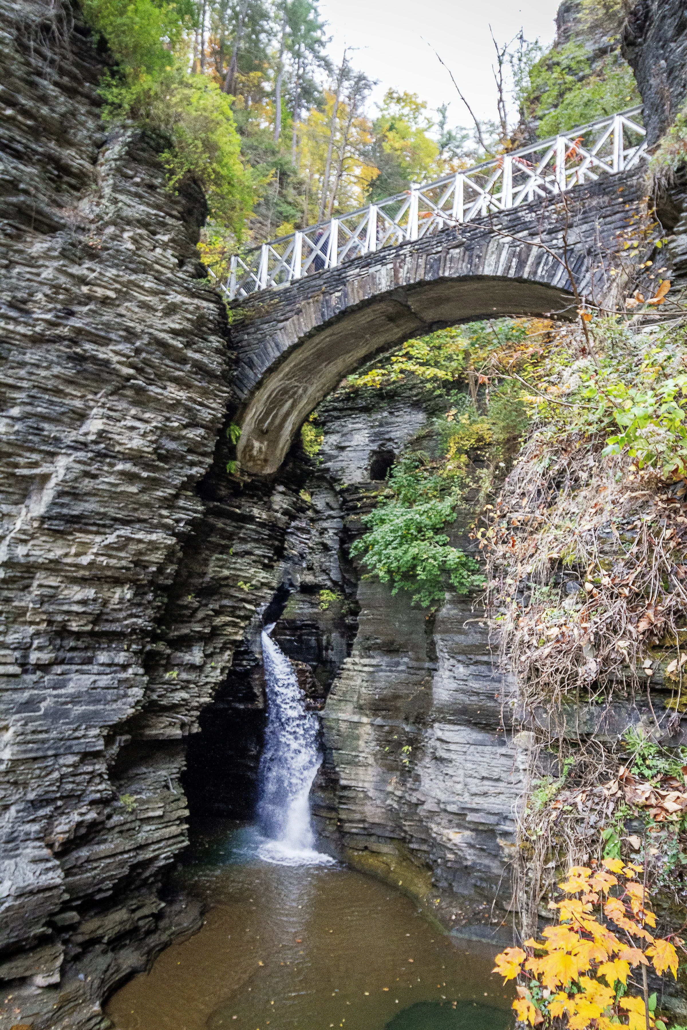 SentryBridge_8x12.jpg